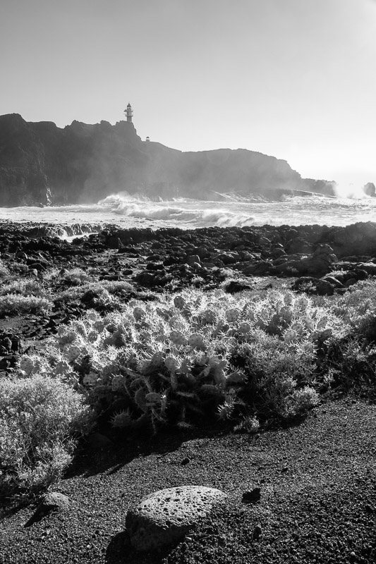 Cactus-Phare-Tenerife-Canaries-credit-Regine-Heintz.jpg