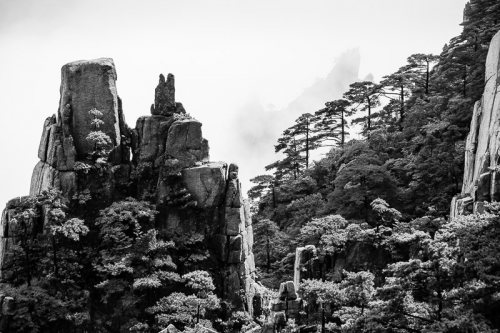 montagnes-jaunes-chine-huangshan-brume-noir-et-blanc-zen-5-credit-Regine-Heintz.jpg